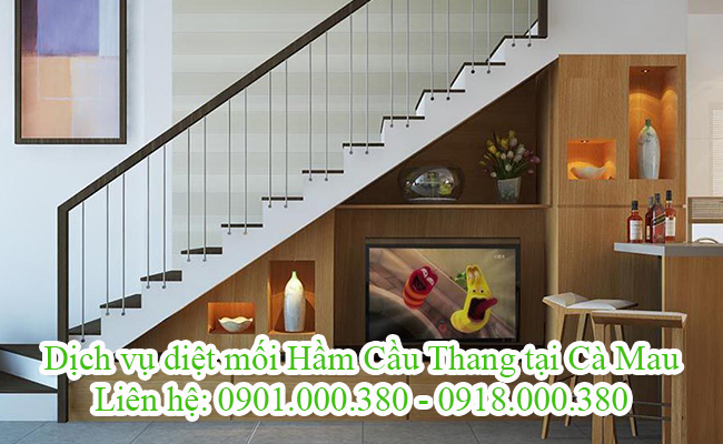 Dịch vụ diệt mối hầm cầu thang tại Cà Mau bằng phương pháp hiện đại.