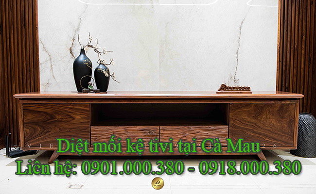 Dịch vụ diệt mối kệ tivi tại Cà Mau uy tín.