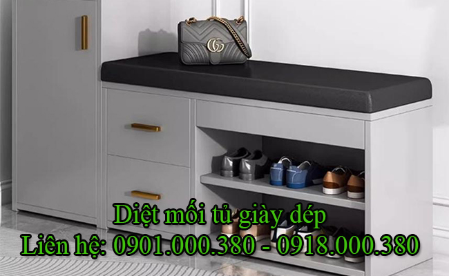 Dịch vụ diệt mối tủ giày dép tại Cà Mau chất lượng.