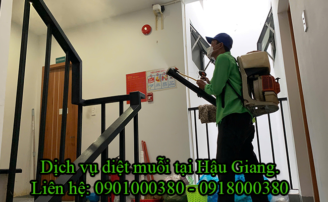 Dịch vụ diệt muỗi tại Hậu Giang uy tín chất lượng cao. Dịch vụ diệt muỗi tại Hậu Giang uy tín chất lượng cao.