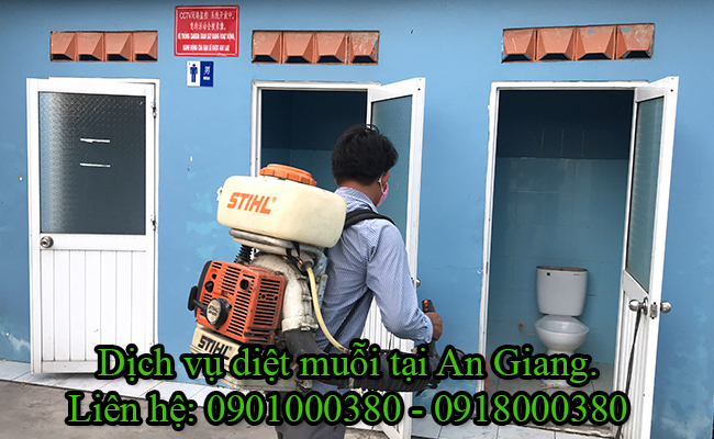 Dịch vụ diệt muỗi tại An Giang uy tín Dịch vụ diệt muỗi tại An Giang uy tín