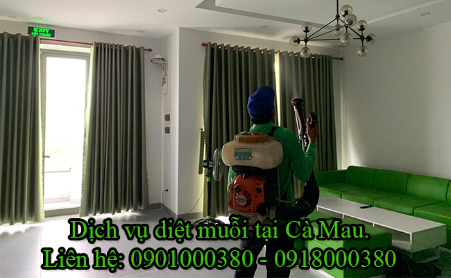 Dịch vụ diệt muỗi tại Cà Mau uy tín giá cạnh tranh. Dịch vụ diệt muỗi tại Cà Mau uy tín giá cạnh tranh.