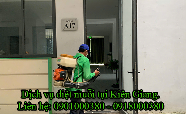 Dịch vụ diệt muỗi tại Kiên Giang giá rẻ. Dịch vụ diệt muỗi tại Kiên Giang giá rẻ.