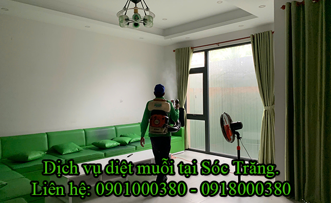 Dịch vụ diệt muỗi tại Sóc Trăng chuyên nghiệp. Dịch vụ diệt muỗi tại Sóc Trăng chuyên nghiệp.