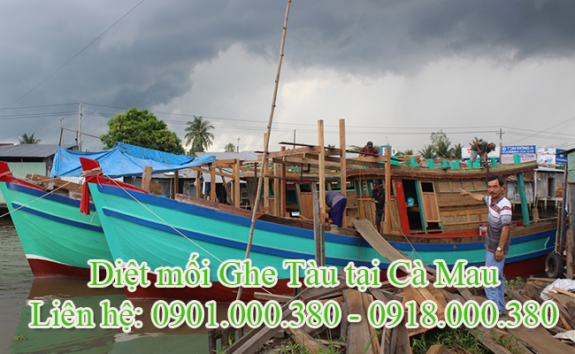 Dịch vụ diệt mối ghe tàu tại Cà Mau uy tín. Dịch vụ diệt mối ghe tàu tại Cà Mau uy tín.