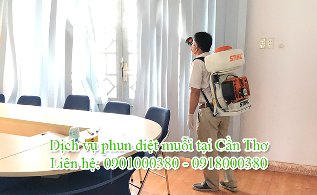 Dịch vụ diệt muỗi tại Cần Thơ chuyên nghiệp với chi phí từ 900.000