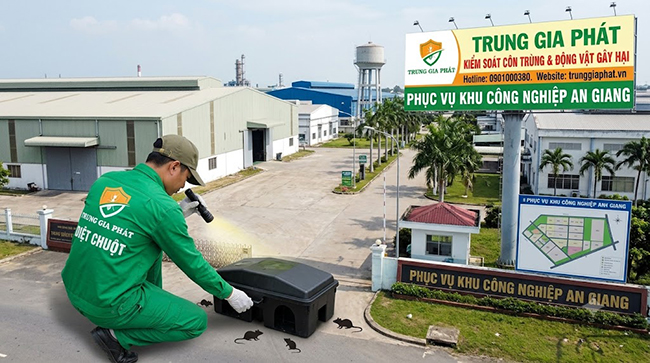 Dịch vụ diệt chuột tại An Giang uy tín. Dịch vụ diệt chuột tại An Giang uy tín.
