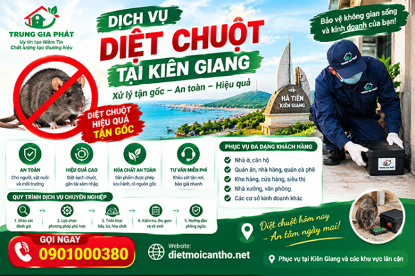Dịch vụ diệt chuột tại Kiên Giang uy tín.
