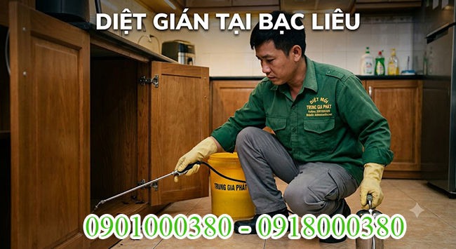 Dịch vụ diệt gián tại Bạc Liêu tận gốc.