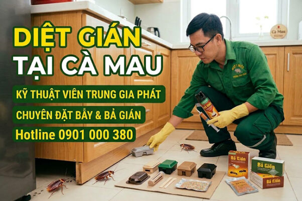 Dịch vụ diệt gián tại Cà Mau uy tín.