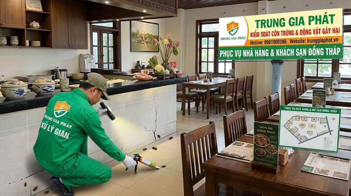 Dịch vụ diệt gián tại Đồng Tháp tận gốc hoàn toàn.