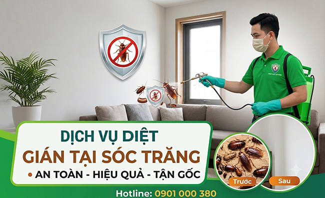 Dịch vụ diệt gián tại Sóc Trăng uy tín.