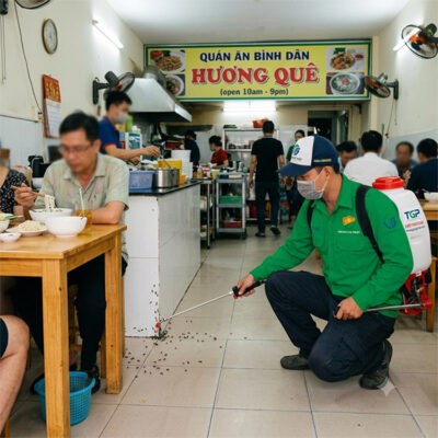 Dịch vụ diệt kiến tại An Giang tận gốc hoàn toàn.