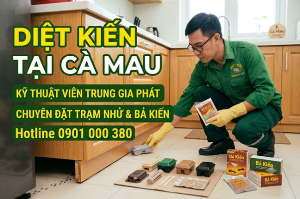 Dịch vụ diệt kiến tại Cà Mau uy tín.