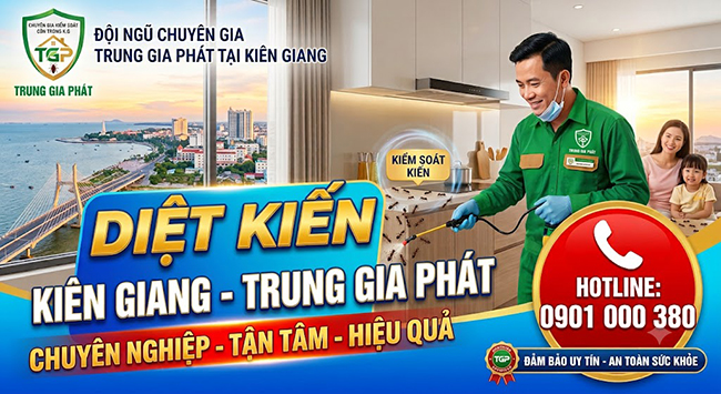 Dịch vụ diệt kiến tại Kiên Giang tận gốc hoàn toàn. Dịch vụ diệt kiến tại Kiên Giang tận gốc hoàn toàn.