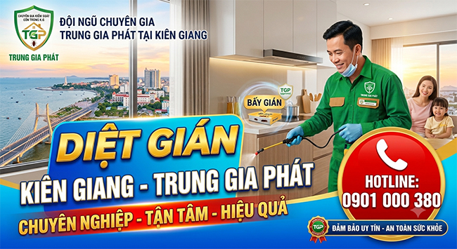 Dịch vụ diệt gián tại Kiên Giang uy tín.