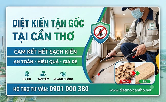 Dịch vụ diệt kiến tại Cần Thơ tận gốc hoàn toàn.