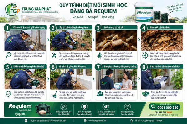 Quy trình diệt mối bằng bả sinh học của Mỹ.